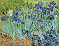 Irises, Vincent van Gogh, 1889