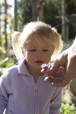 Plants of the ancient world at the Getty Villa
