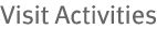Visit Activities