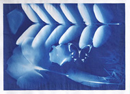 Medical Help, Health Tips