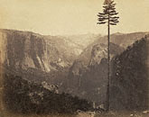 Yosemite Valley from the Best General View / Watkins