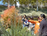 Students experience sights and surprises in the Getty Center's Central Garden.