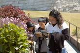 Students sketch in the Central Garden during a Self-Guided Visit at the Getty Center.