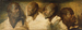 Four studies of a Male Head / Rubens Workshop