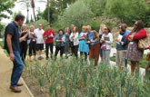 Teachers enjoyed learning about the plants growing in the Herb Garden during last year's Villa Summer Institute.