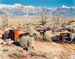 Apple Orchard, Manzanar Japanese-American Relocation Camp, Owens Valley, California / Virginia Beahan and Laura McPhee 