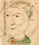 Rare books from a private collection, on view through April 18
