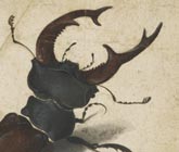 Explore drawings conservation - January 22