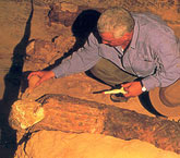 Zahi Hawass examining a mummy