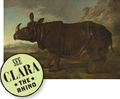 Rhinoceros / Oudry