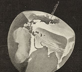 La terre n'est pas precisement ronde