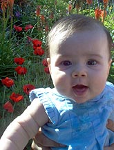 Toddler in the Central Garden