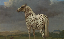 Lecture: Horses in Painting - June 10