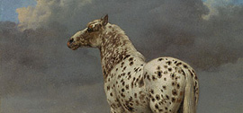 Lecture: Horses in Painting - June 10