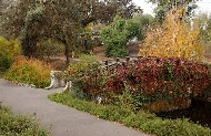 UC Davis photo