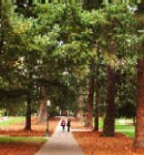 University of Oregon
