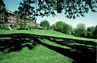 Chatham College