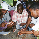 Examples of Education and Training Grants