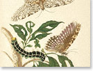 Current Exhibitions