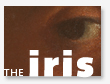 Visit our blog - The Iris: Views from the Getty