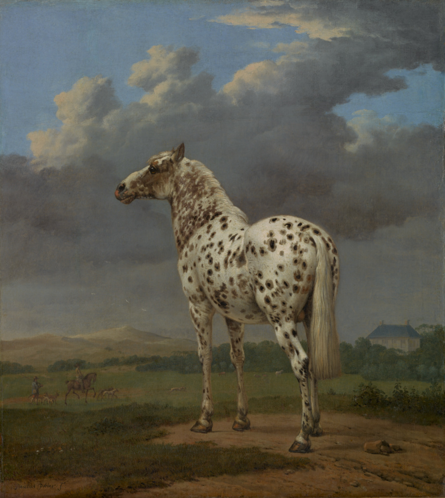 The "Piebald" Horse (Getty Museum)