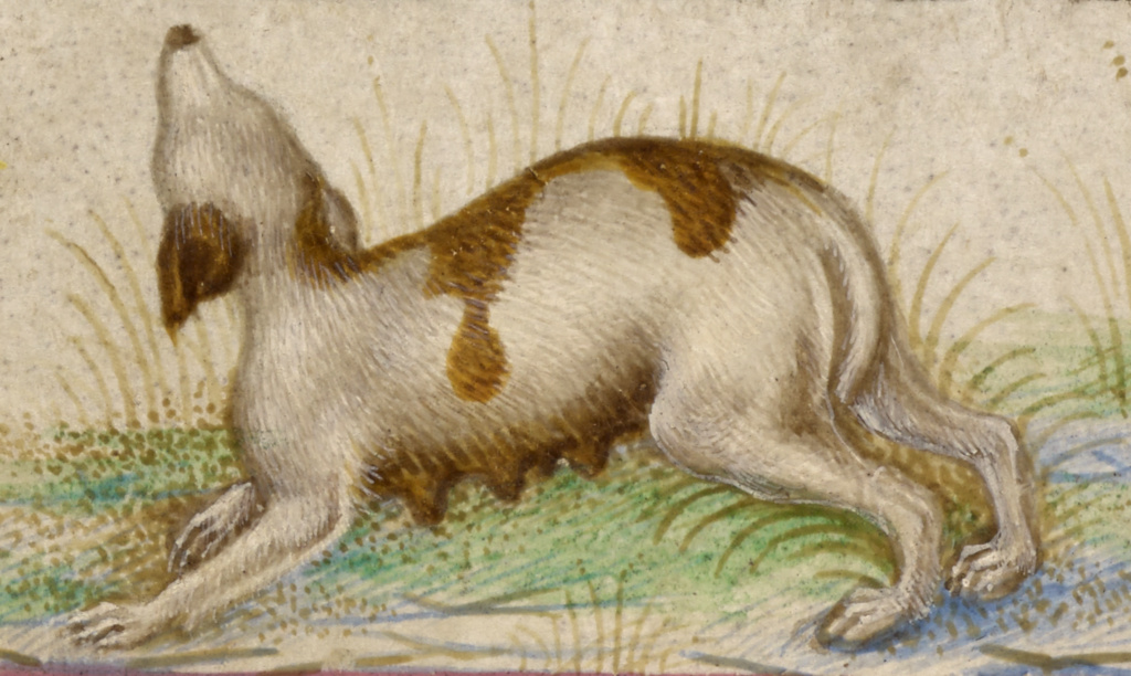 Gualenghi-d'Este Hours; Taddeo Crivelli (Italian, died about 1479, active about 1451 - 1479), and Guglielmo Giraldi (Italian, active 1445 - 1489); about 1469; Tempera colors, gold paint, gold leaf, and ink on parchment bound between wood boards covered with dark red morocco; Leaf: 10.8 × 7.9 cm (4 1/4 × 3 1/8 in.); Ms. Ludwig IX 13 (83.ML.109); Rights Statement: No Copyright - United States Gualenghi-d'Este Hours; Taddeo Crivelli (Italian, died about 1479, active about 1451 - 1479), and Guglielmo Giraldi (Italian, active 1445 - 1489); about 1469; Tempera colors, gold paint, gold leaf, and ink on parchment bound between wood boards covered with dark red morocco; Leaf: 10.8 × 7.9 cm (4 1/4 × 3 1/8 in.); Ms. Ludwig IX 13 (83.ML.109); Rights Statement: No Copyright - United States