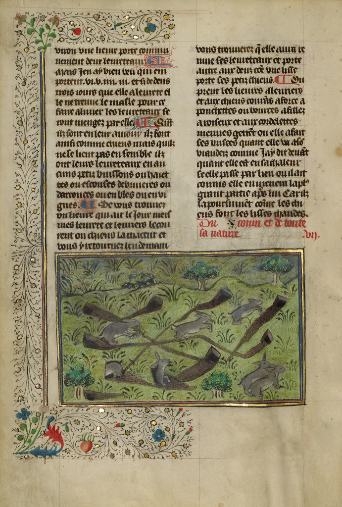 Rabbits; Unknown; Brittany, France, Europe; about 1430 - 1440; Tempera colors, gold paint, silver paint, and gold leaf on parchment; Leaf: 26.4 × 18.4 cm (10 3/8 × 7 1/4 in.); Ms. 27, fol. 18v No description of this image is available.