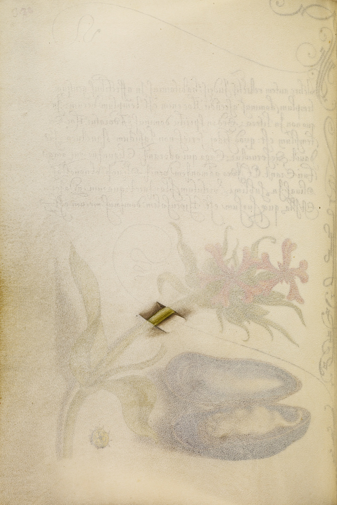 Trompe l'Oeil Stem of a Maltese Cross; Joris Hoefnagel (Flemish / Hungarian, 1542 - 1600); 1561–1562; illumination added 1591–1596; Watercolors, gold and silver paint, and ink on parchment; Leaf: 16.6 × 12.4 cm (6 9/16 × 4 7/8 in.); Ms. 20 (86.MV.527), fol. 37v; Rights Statement: No Copyright - United States Trompe l'Oeil Stem of a Maltese Cross; Joris Hoefnagel (Flemish / Hungarian, 1542 - 1600); 1561–1562; illumination added 1591–1596; Watercolors, gold and silver paint, and ink on parchment; Leaf: 16.6 × 12.4 cm (6 9/16 × 4 7/8 in.); Ms. 20 (86.MV.527), fol. 37v; Rights Statement: No Copyright - United States