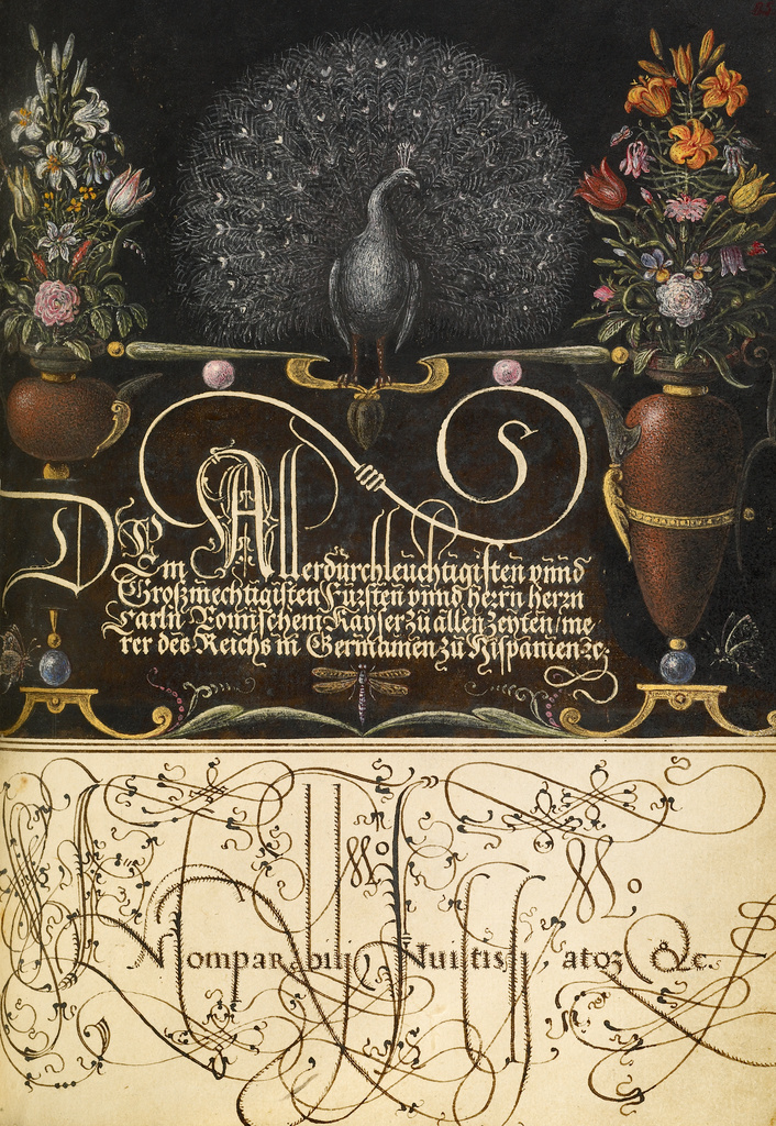 Flower Arrangements, Peacock, Butterflies, and Insect; Joris Hoefnagel (Flemish / Hungarian, 1542 - 1600), and Georg Bocskay (Hungarian, died 1575); 1561 - 1562; illumination added 1591 - 1596; Watercolors, gold and silver paint, and ink on parchment; Leaf: 16.6 × 12.4 cm (6 9/16 × 4 7/8 in.); Ms. 20 (86.MV.527), fol. 85; Rights Statement: No Copyright - United States Flower Arrangements, Peacock, Butterflies, and Insect; Joris Hoefnagel (Flemish / Hungarian, 1542 - 1600), and Georg Bocskay (Hungarian, died 1575); 1561 - 1562; illumination added 1591 - 1596; Watercolors, gold and silver paint, and ink on parchment; Leaf: 16.6 × 12.4 cm (6 9/16 × 4 7/8 in.); Ms. 20 (86.MV.527), fol. 85; Rights Statement: No Copyright - United States