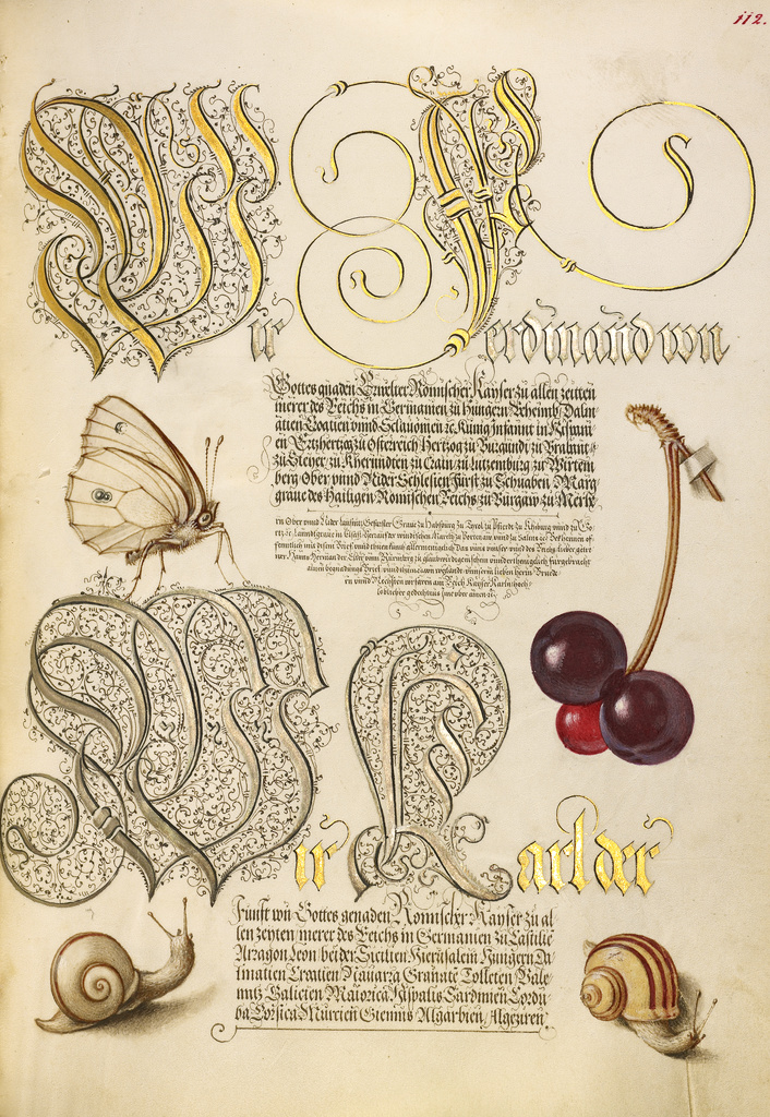 Butterfly, Sweet Cherry, and Land Snails; Joris Hoefnagel (Flemish / Hungarian, 1542 - 1600), and Georg Bocskay (Hungarian, died 1575); Vienna, Austria, Europe; 1561 - 1562; illumination added 1591 - 1596; Watercolors, gold and silver paint, and ink on parchment; Leaf: 16.6 × 12.4 cm (6 9/16 × 4 7/8 in.); Ms. 20, fol. 112 No description of this image is available.