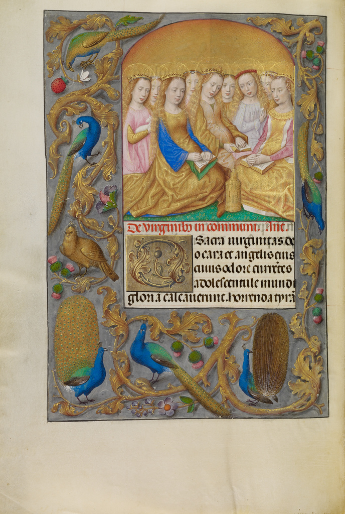 Virgin Saints; Workshop of Master of the First Prayer Book of Maximilian (Flemish, active about 1475 - 1515); Bruges, Belgium, Europe; about 1510 - 1520; Tempera colors, gold, and ink on parchment; Leaf: 23.2 × 16.7 cm (9 1/8 × 6 9/16 in.); Ms. Ludwig IX 18, fol. 269v No description of this image is available.