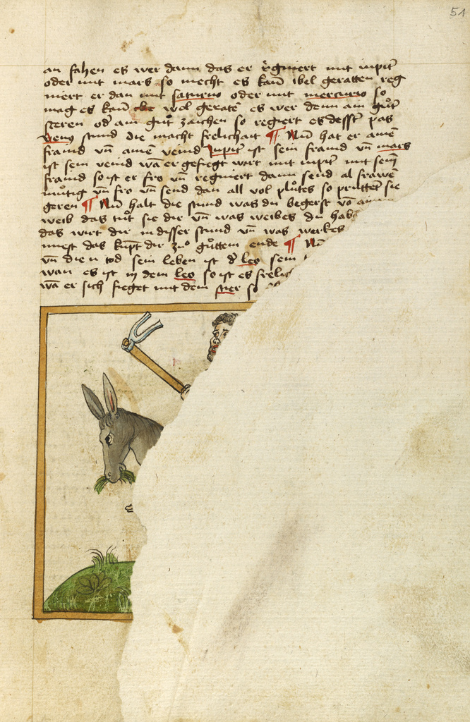 The Planet Saturn Represented as a Man on a Donkey; Unknown; shortly after 1464; Watercolor and ink on paper bound between original wood boards covered with original pigskin; Leaf: 30.6 × 22.1 cm (12 1/16 × 8 11/16 in.); Ms. Ludwig XII 8 (83.MO.137), fol. 51; Rights Statement: No Copyright - United States The Planet Saturn Represented as a Man on a Donkey; Unknown; shortly after 1464; Watercolor and ink on paper bound between original wood boards covered with original pigskin; Leaf: 30.6 × 22.1 cm (12 1/16 × 8 11/16 in.); Ms. Ludwig XII 8 (83.MO.137), fol. 51; Rights Statement: No Copyright - United States