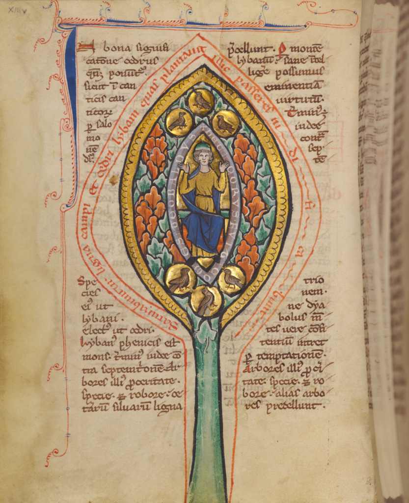 A Man Enthroned within a Mandorla in a Tree; Unknown; Thérouanne ?, France (formerly Flanders); about 1270; Tempera colors, gold leaf, and ink on parchment; Leaf: 19.1 x 14.3 cm (7 1/2 x 5 5/8 in.); Ms. Ludwig XV 3, fol. 13v No description of this image is available.