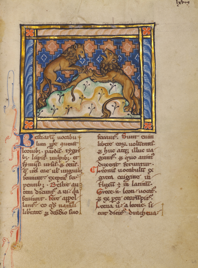 Two Lions; Unknown; Thérouanne ?, France (formerly Flanders); about 1270; Tempera colors, gold leaf, and ink on parchment; Leaf: 19.1 × 14.3 cm (7 1/2 × 5 5/8 in.); Ms. Ludwig XV 3, fol. 68 No description of this image is available.