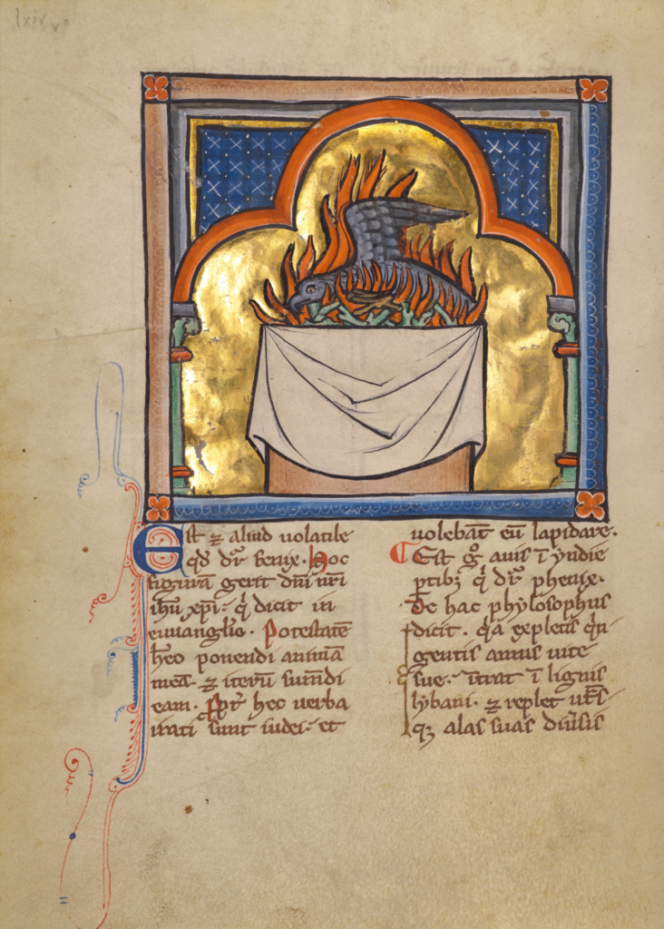 A Phoenix; Unknown; about 1270; Tempera colors, gold leaf, and ink on parchment; Leaf: 19.1 × 14.3 cm (7 1/2 × 5 5/8 in.); Ms. Ludwig XV 3 (83.MR.173), fol. 74v; Rights Statement: No Copyright - United States A Phoenix; Unknown; about 1270; Tempera colors, gold leaf, and ink on parchment; Leaf: 19.1 × 14.3 cm (7 1/2 × 5 5/8 in.); Ms. Ludwig XV 3 (83.MR.173), fol. 74v; Rights Statement: No Copyright - United States