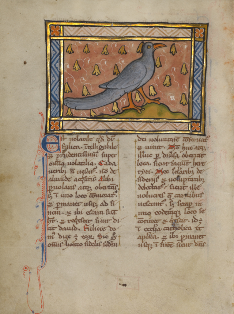 A Water Fowl; Unknown; Thérouanne ?, France (formerly Flanders), Europe; about 1270; Tempera colors, gold leaf, and ink on parchment; Leaf: 19.1 × 14.3 cm (7 1/2 × 5 5/8 in.); Ms. Ludwig XV 3, fol. 87v No description of this image is available.