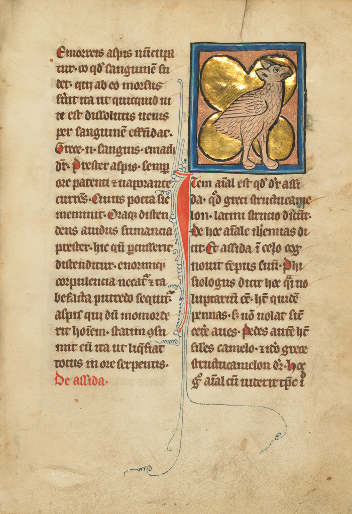 An Ostrich; Unknown; Thérouanne ?, France (formerly Flanders); 1277 or after; Tempera colors, pen and ink, gold leaf, and gold paint on parchment; Leaf: 23.3 × 16.4 cm (9 3/16 × 6 7/16 in.); Ms. Ludwig XV 4, fol. 98 No description of this image is available.
