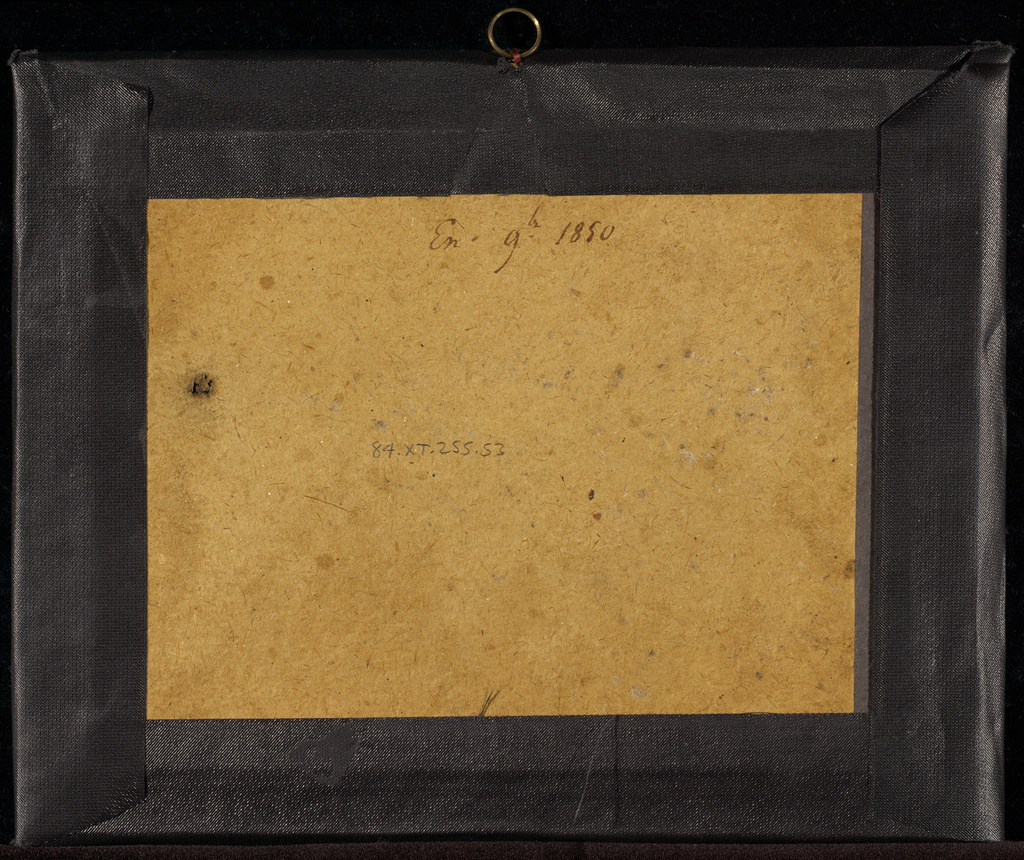 [Group portrait at JeanGabriel Eynard's country house at Beaulieu