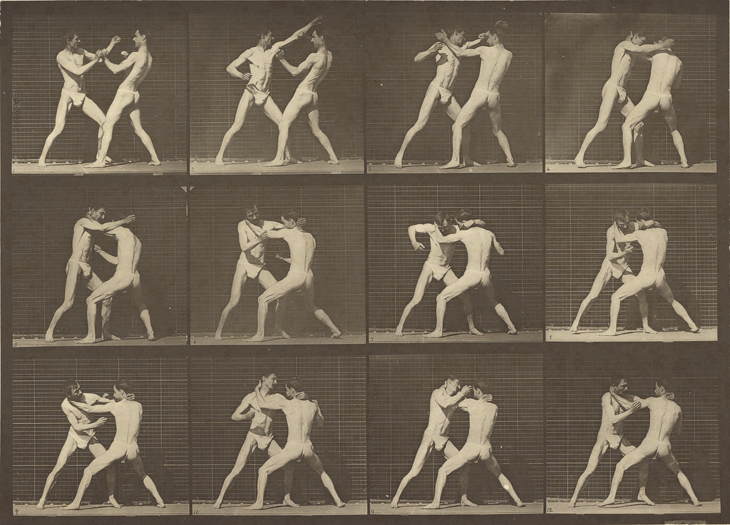 Animal Locomotion; Eadweard J. Muybridge (American, born England, 1830 - 1904); 1887; Collotype; 17.1 × 31.4 cm (6 3/4 × 12 3/8 in.); 84.XM.628.43 No description of this image is available.