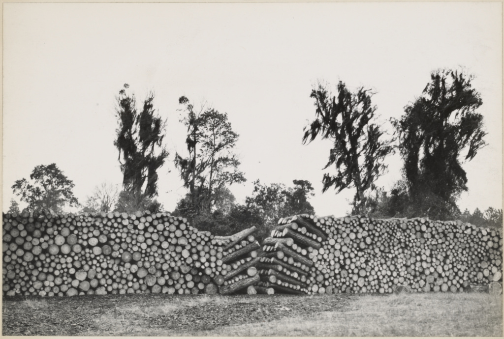 Logging Landscape; Walker Evans (American, 1903 - 1975); 1941; Gelatin silver print; 15.4 × 23 cm (6 1/16 × 9 1/16 in.); 84.XM.956.899; Copyright: Status undetermined No description of this image is available.