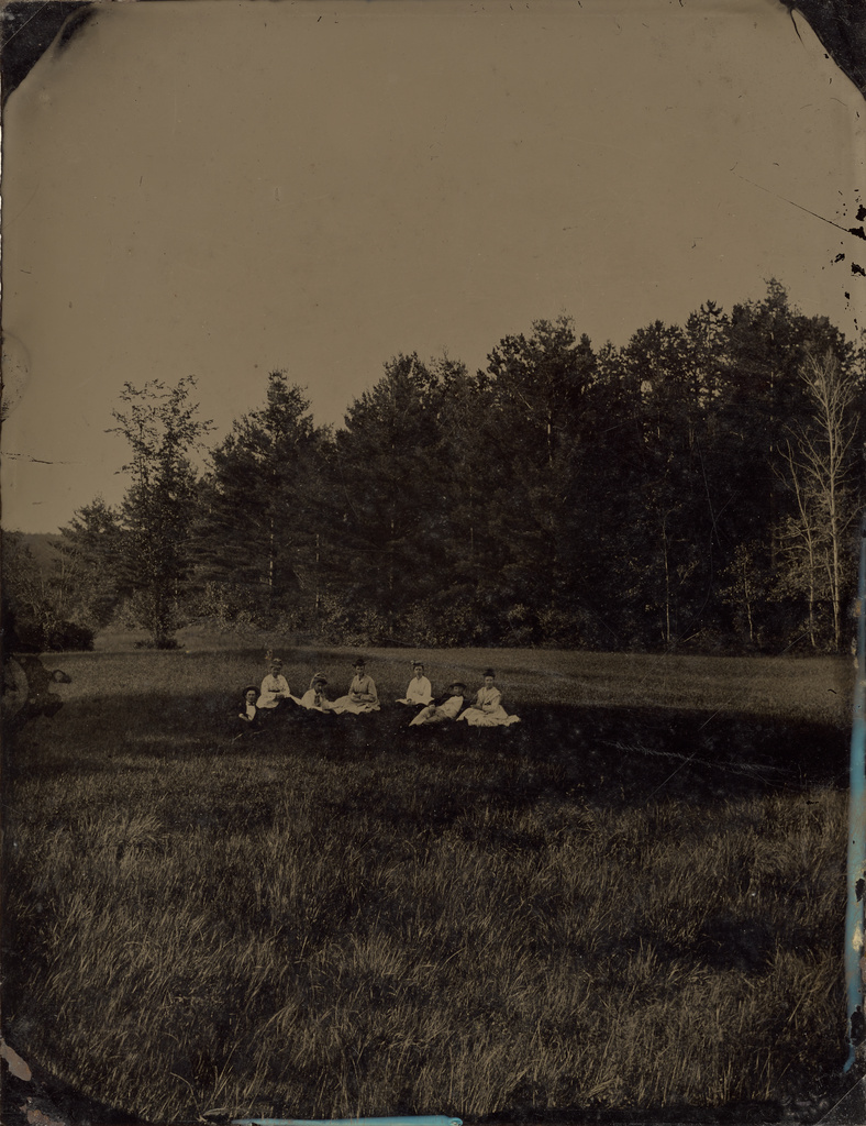 [Group of picnickers in field] (Getty Museum)