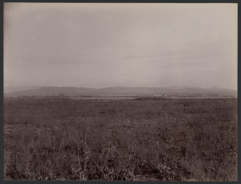 Grassy Plain with Horizon/Telegraph Line 2, Los Angeles (Getty Museum)