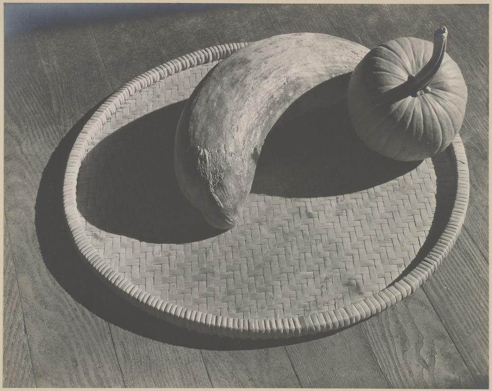 Gourd and Pumpkin on Tray by Edward Weston, 1927