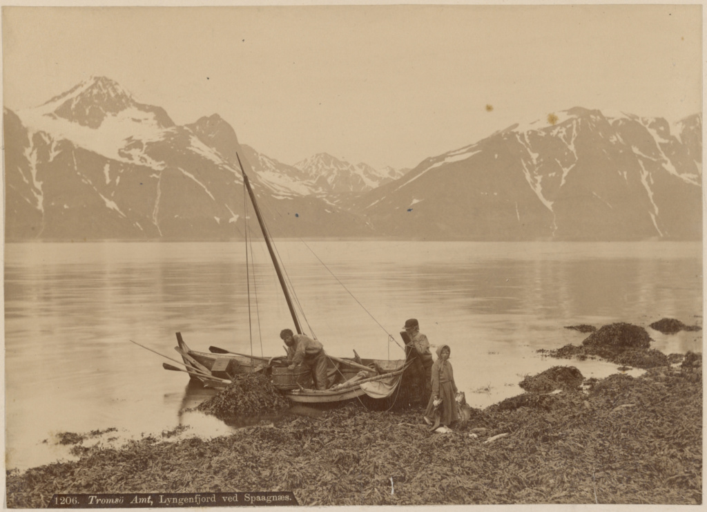 Tromsö Amt, Lyngenfjord ved Spaagnæs; Axel Lindahl (Swedish, 1841 - 1907); Troms, Norway, Europe; about 1880–1890; Albumen silver print; 16.4 × 22.8 cm (6 7/16 × 9 in.); 84.XP.1430.47 No description of this image is available.