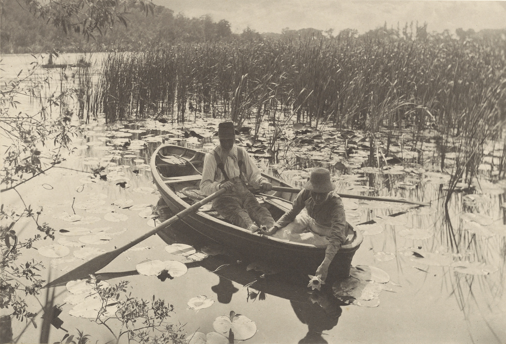 Gathering Water-Lilies; Peter Henry Emerson (British, born Cuba, 1856 - 1936); East Anglia, England, Europe; 1886; Platinum print; 19.8 × 29.2 cm (7 13/16 × 11 1/2 in.); 84.XO.1268.10 No description of this image is available.