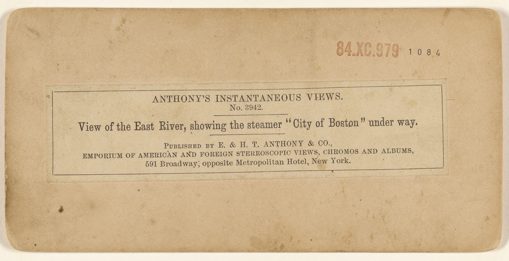 What Are Boston Steamer at Tracy Musson blog