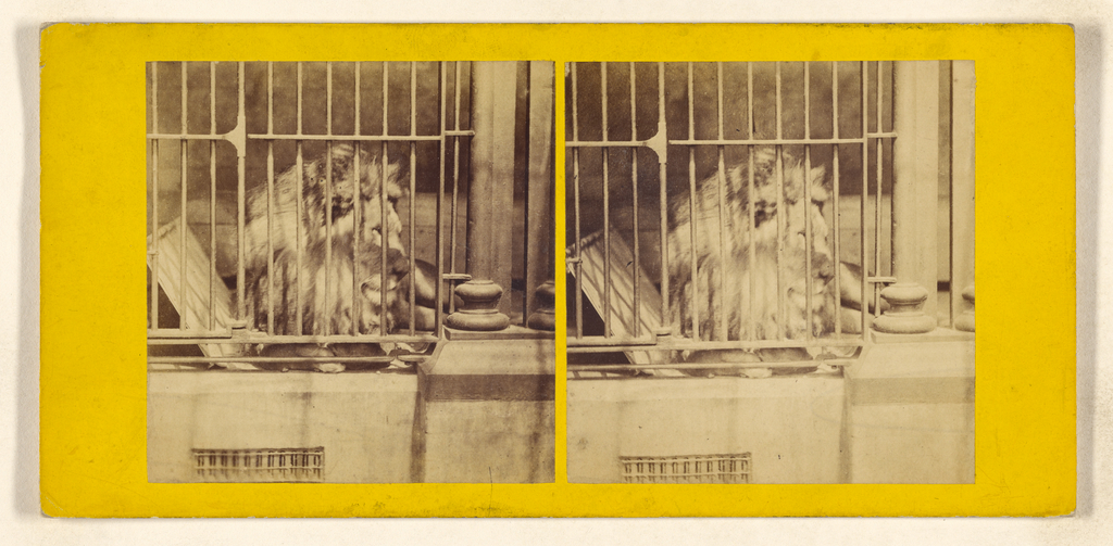 weston library acquisitions gallery