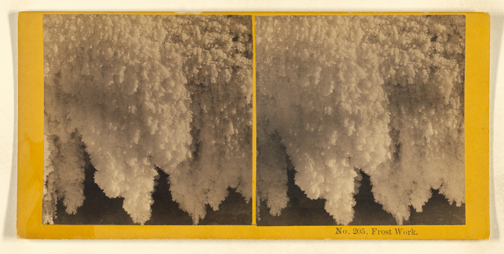 Frost Work.; Benjamin West Kilburn (American, 1827 - 1909); about 1865; Albumen silver print; 84.XC.729.258 No description of this image is available.
