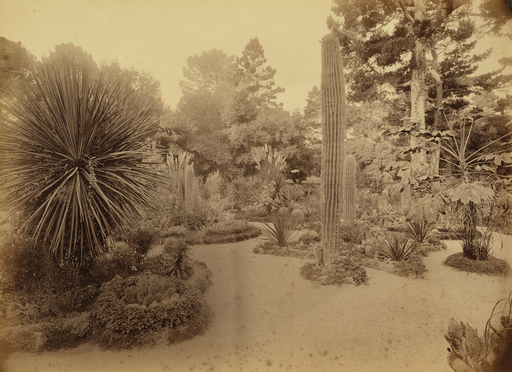 Monterey California Arizona Garden Hotel Del Monte Getty Museum