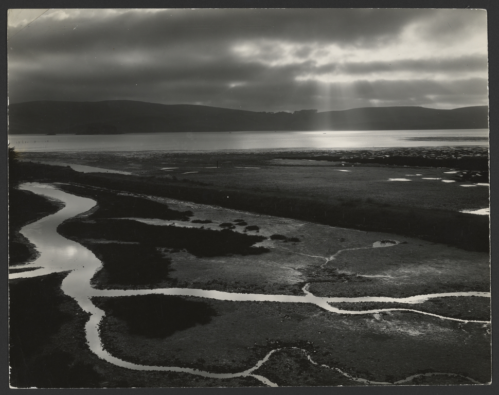 Tomales Bay (Getty Museum)